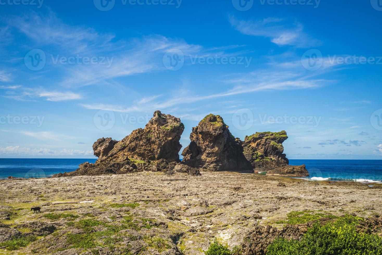 Lion couple rock à l'île de Lanyu, Taitung, Taïwan photo