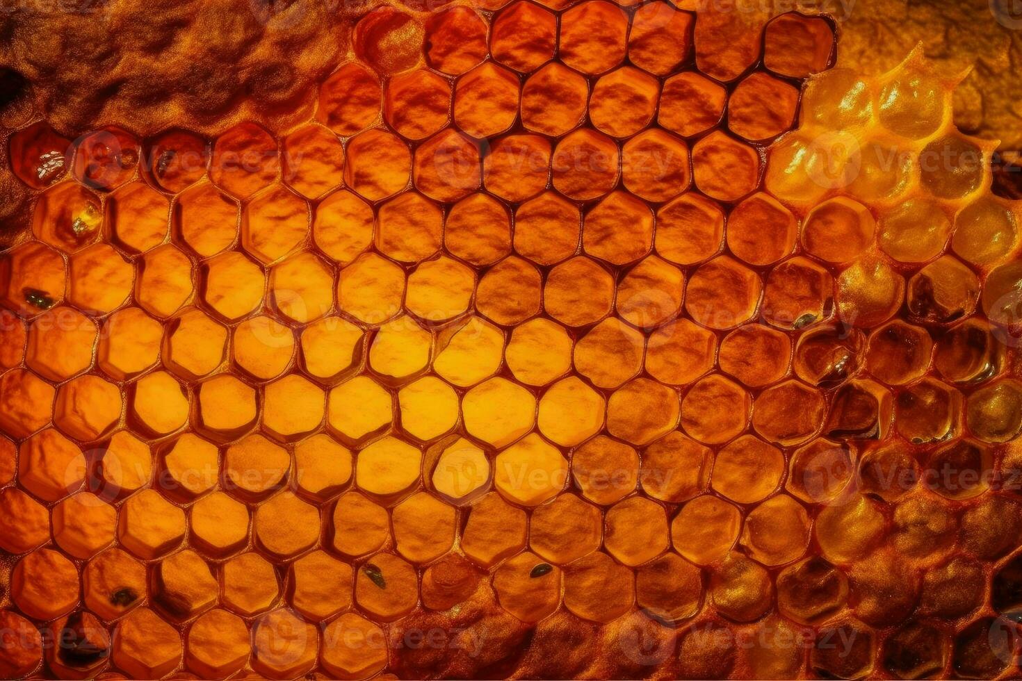 mon chéri cellules et travail les abeilles ai génératif photo