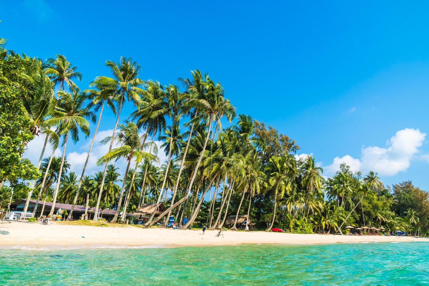 belle plage tropicale et mer photo