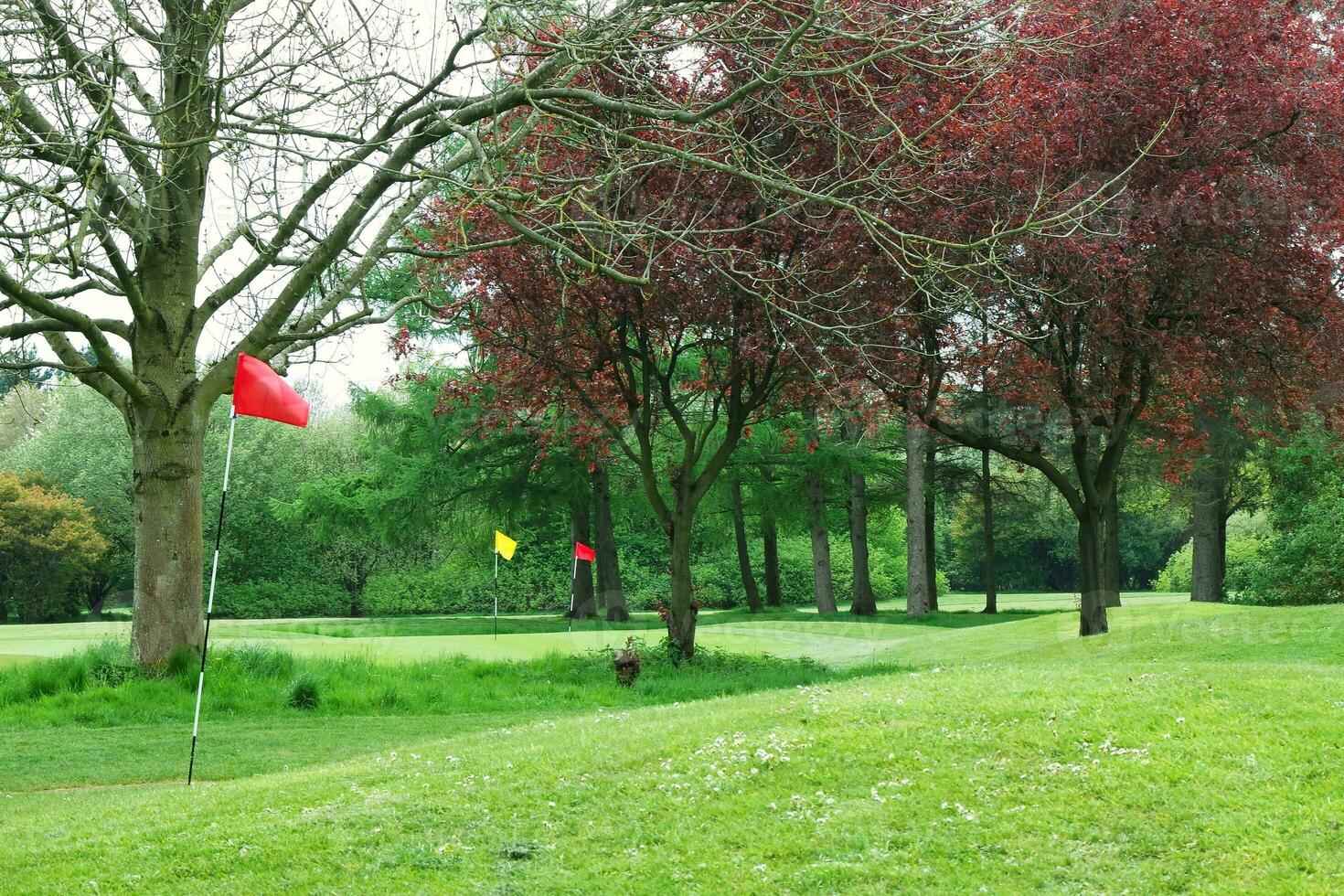 magnifique faible angle vue de local Publique parc de luton Angleterre Royaume-Uni photo