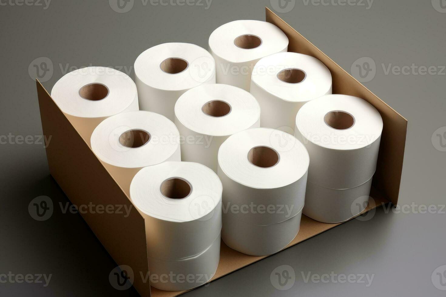 nombreuses toilette papier Rouleaux dans une papier boîte photo