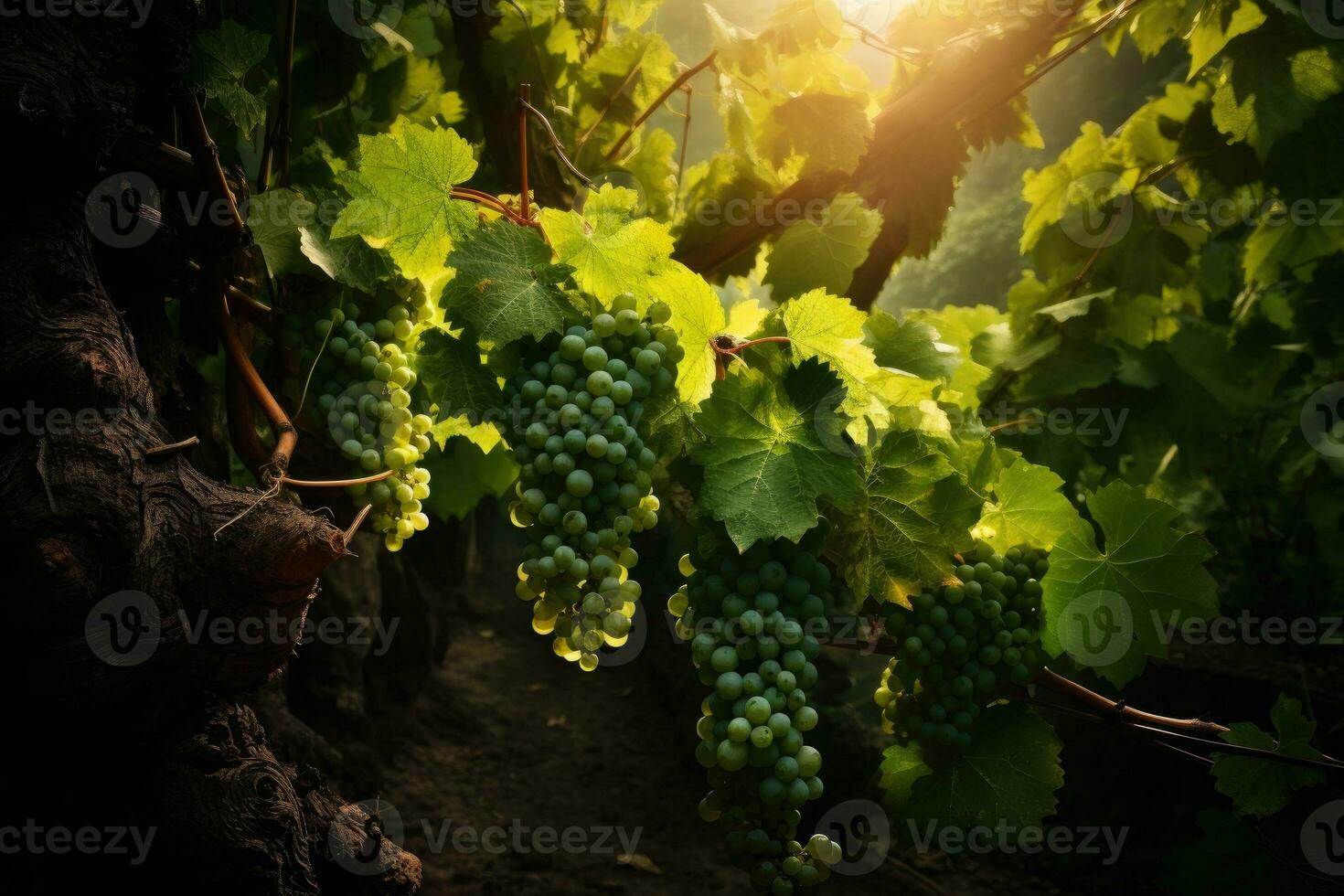 les raisins sur le vigne de grain de raisin des arbres. génératif ai photo