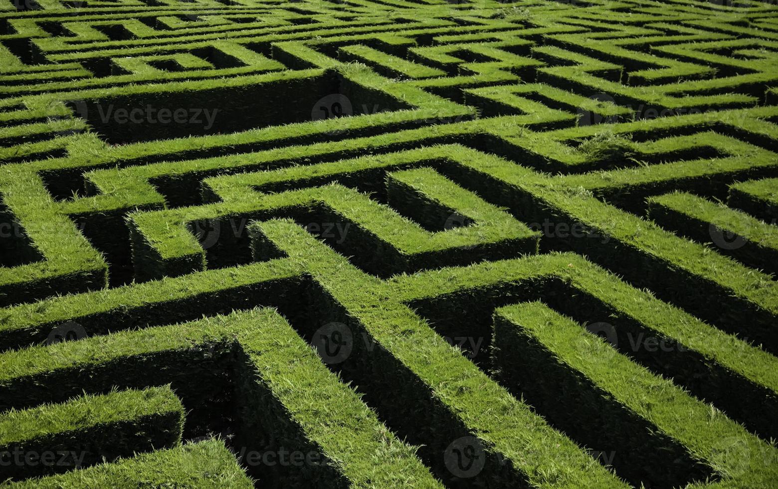 labyrinthe de buissons verts photo