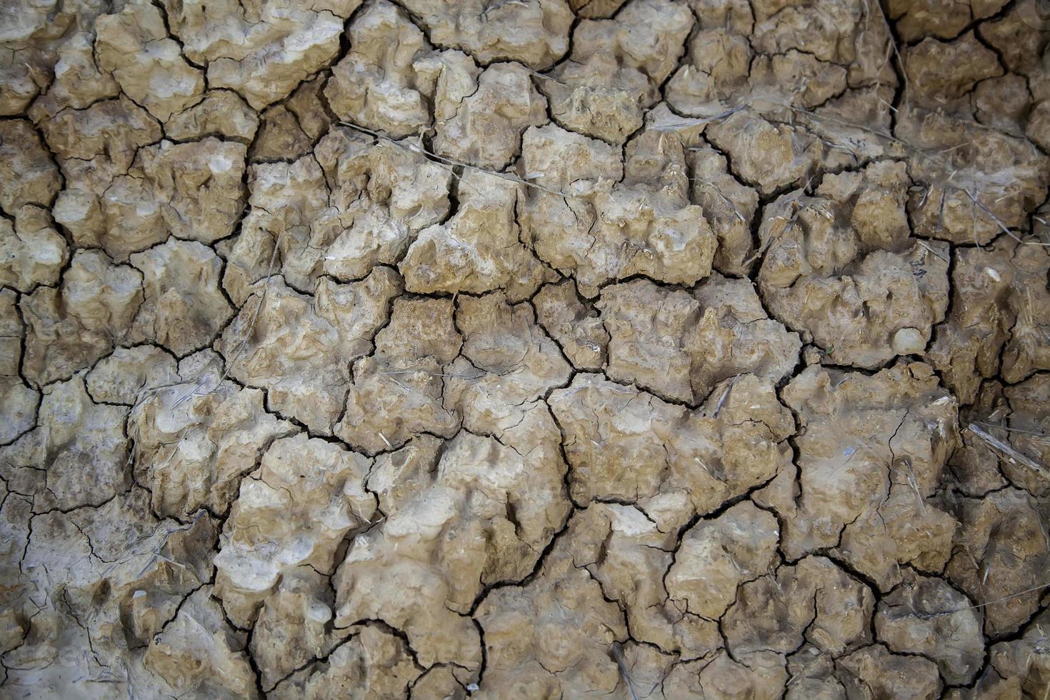 mur de boue fissuré photo