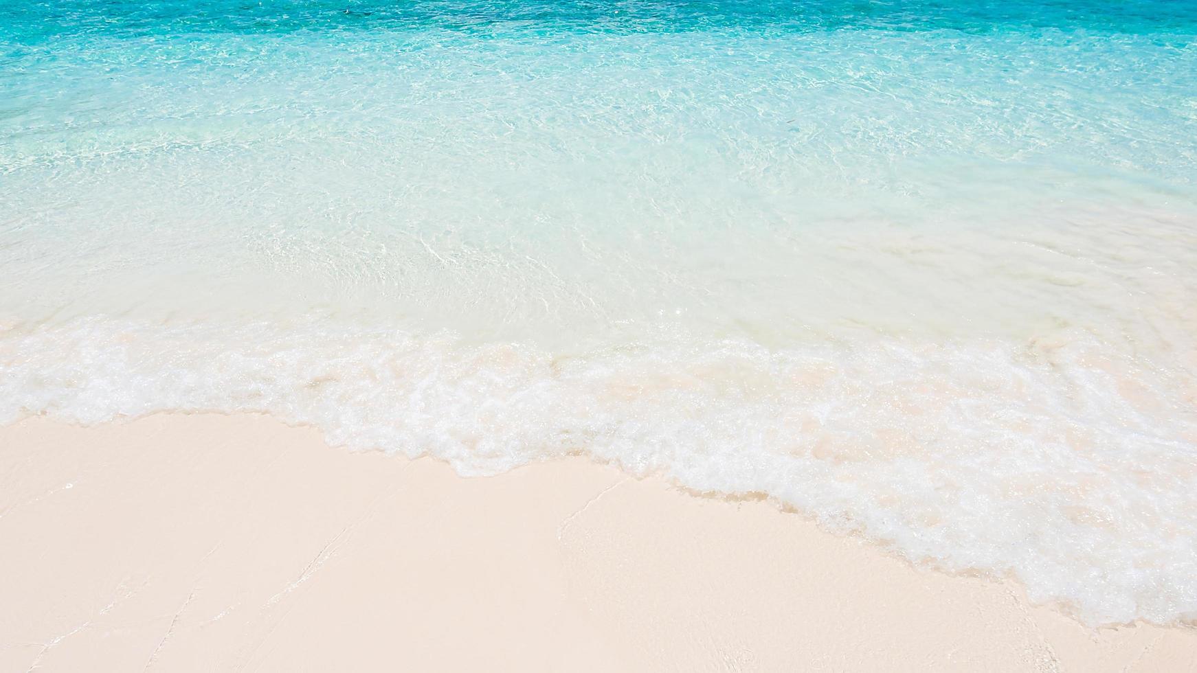 plage tropicale et mer photo