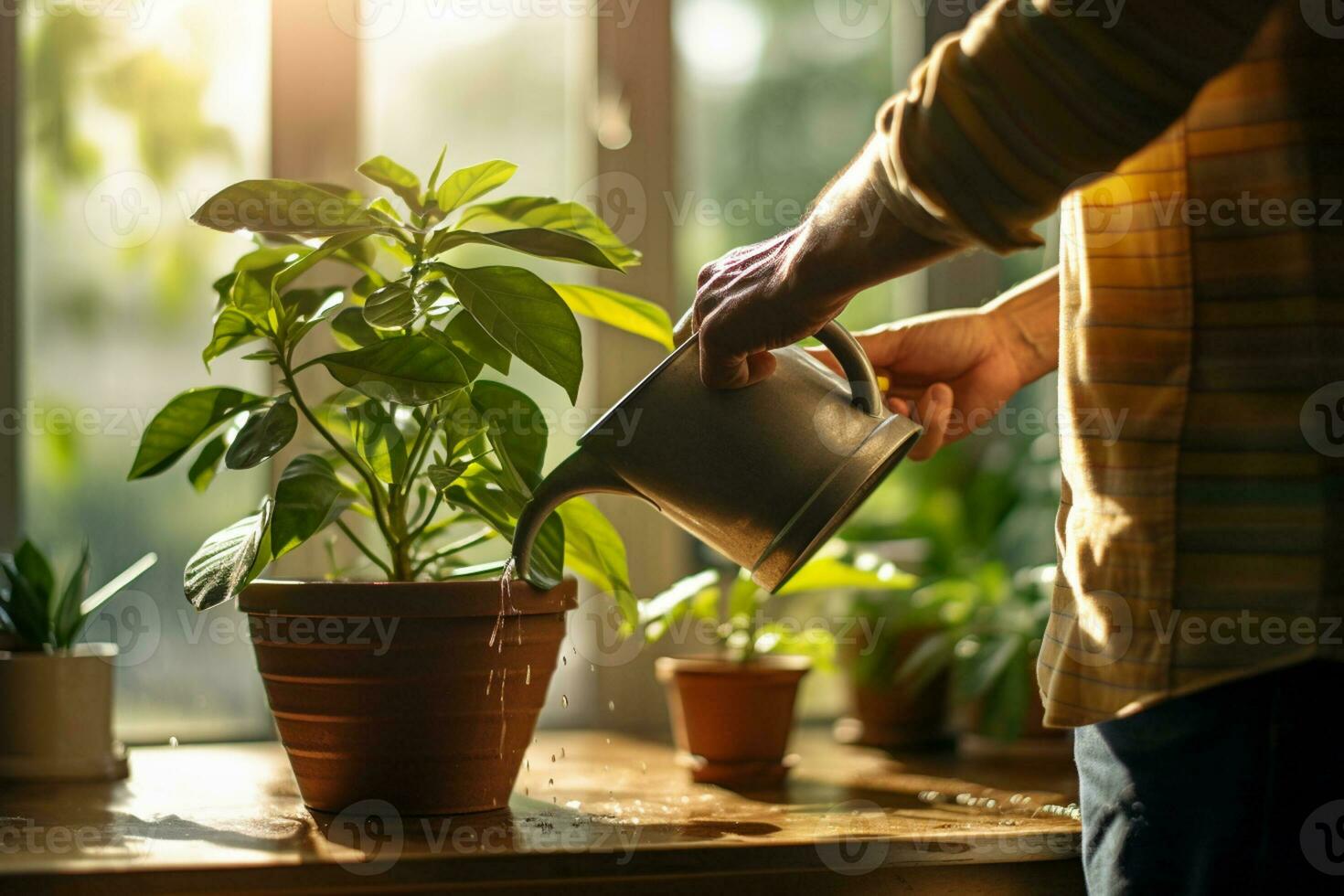 intérieur plante des pots et arrosage canettes 28196932 Photo de