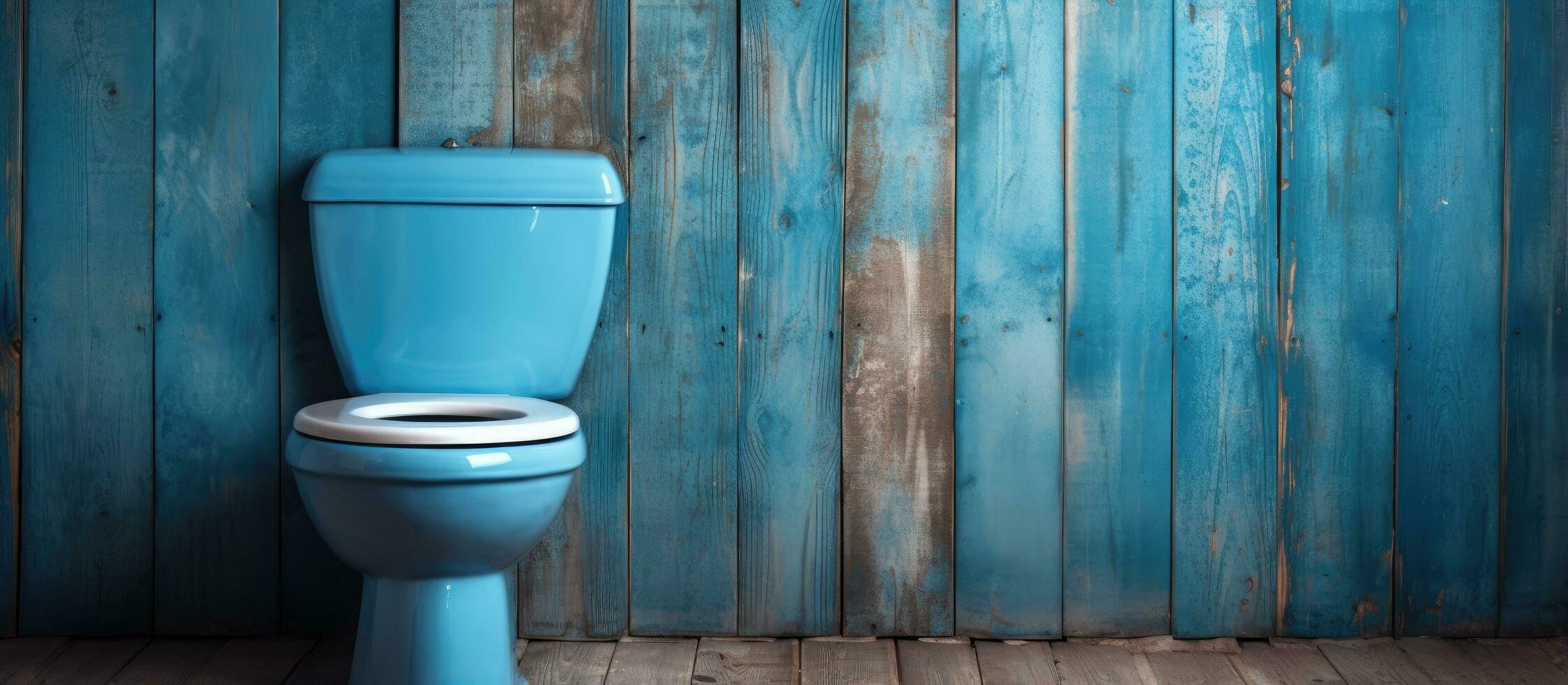 ancien toilettes avait en bois des murs mais maintenant elles ou ils sont fabriqué avec bleu céramique photo