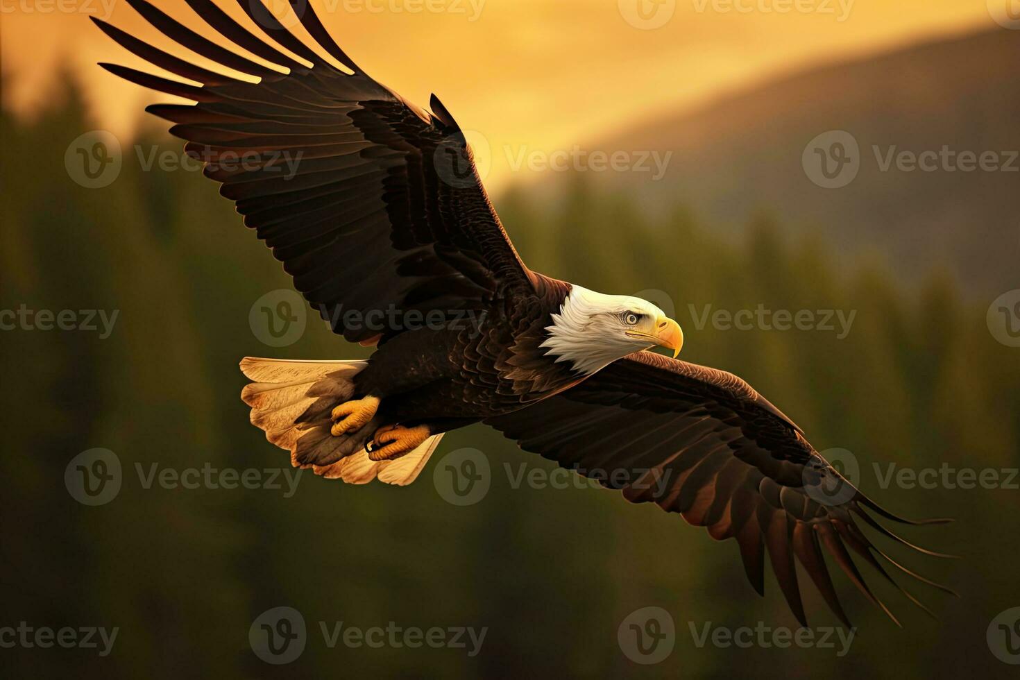 américain chauve Aigle en volant dans le des nuages à le coucher du soleil. Aigle. génératif ai photo