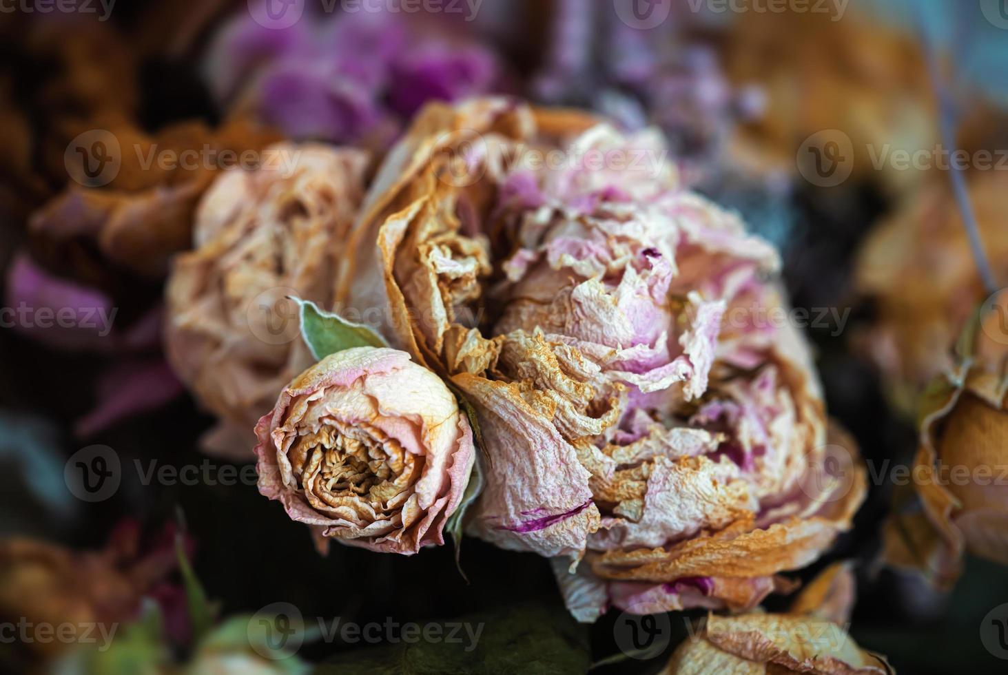 un bouquet de fleurs fanées séchées photo