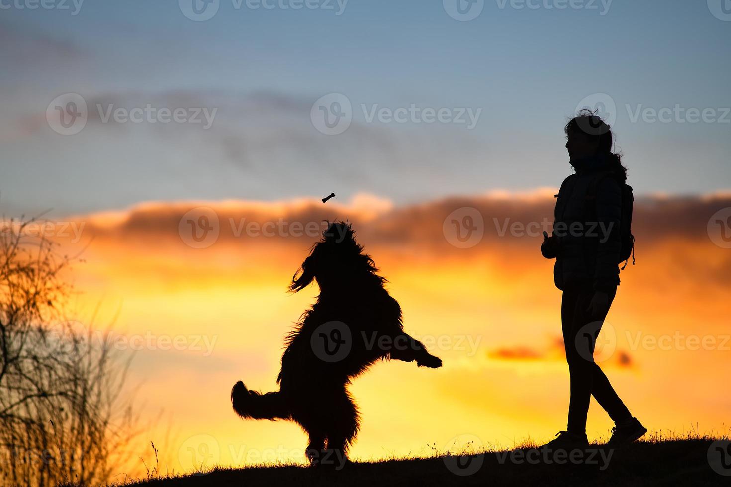 gros chien sautant pour prendre un biscuit d'une silhouette de femme avec fond au coucher du soleil coloré photo