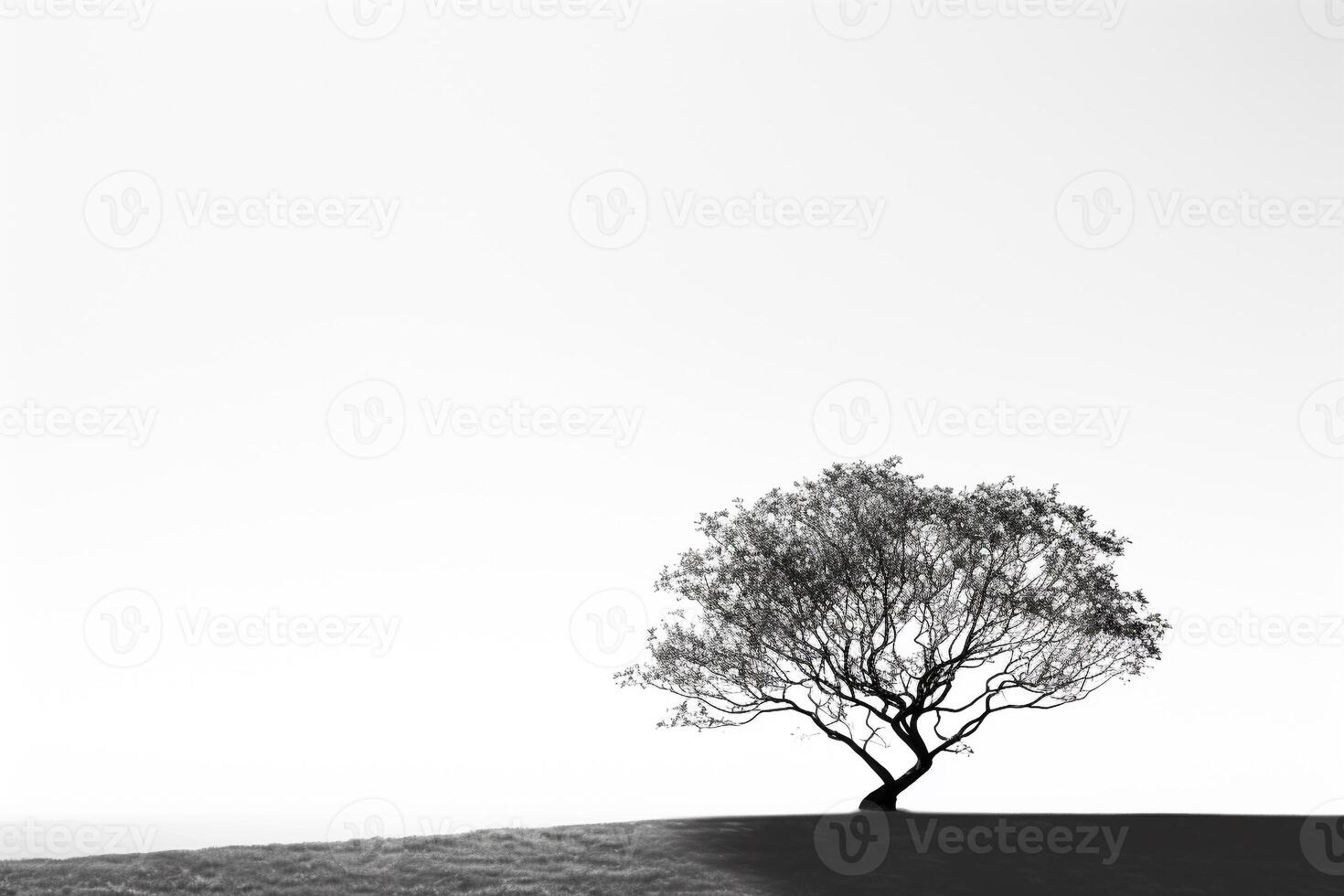 incorporant solitude - monochromatique image de une seul arbre moulage ombres contre une rigide blanc Contexte ai génératif photo