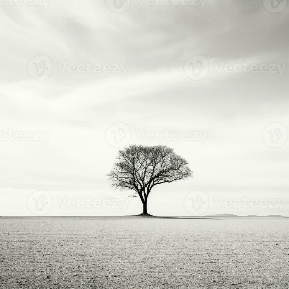 seul arbre moulage ombres contre rigide blanc Contexte ai génératif photo