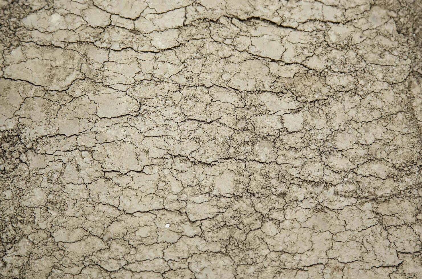 texture de la terre fissurée photo