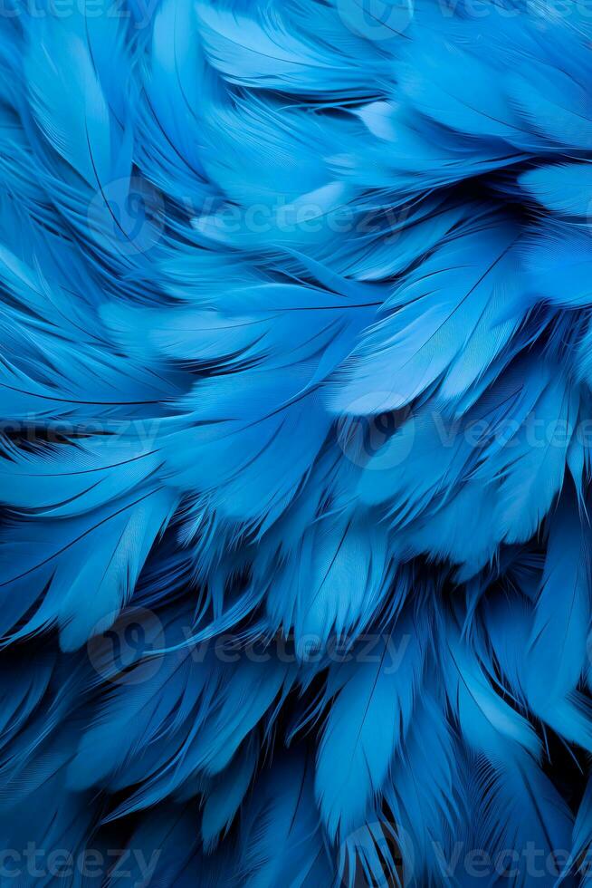 macro photo de une bleu plume Pigeon idéal comme une texture ou Contexte