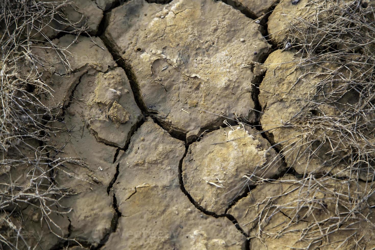 texture de la terre fissurée photo