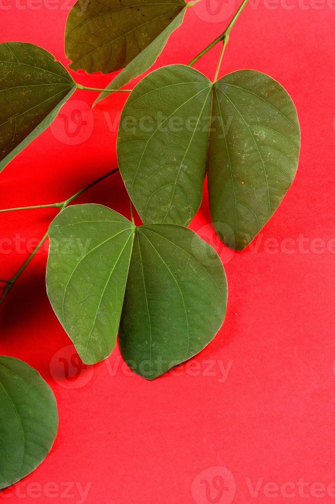 festival indien dussehra, montrant une feuille d'or sur fond rouge. carte de voeux. photo