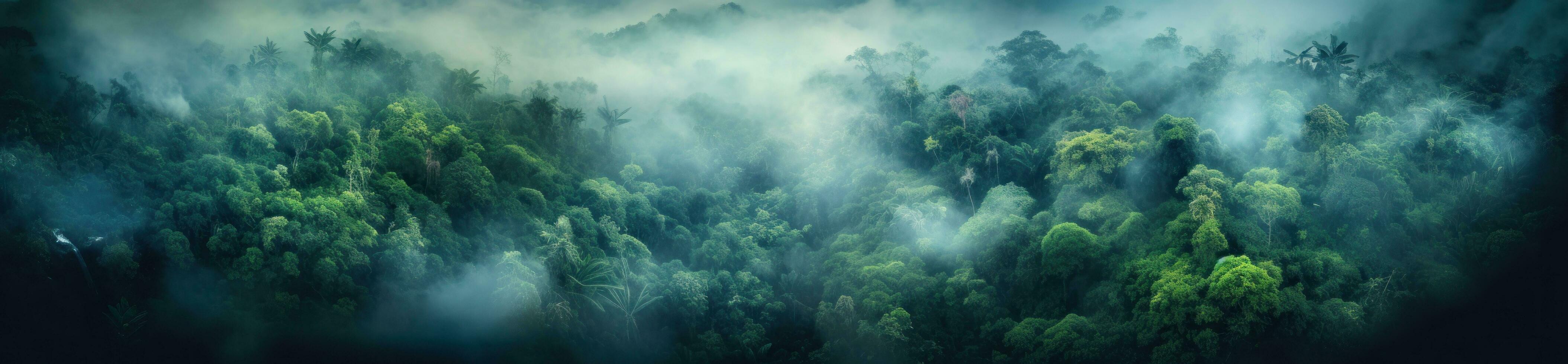 jungle et montagnes Naturel Contexte photo