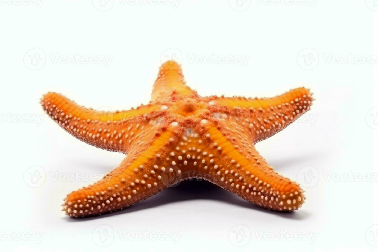mer étoile plage. produire ai photo