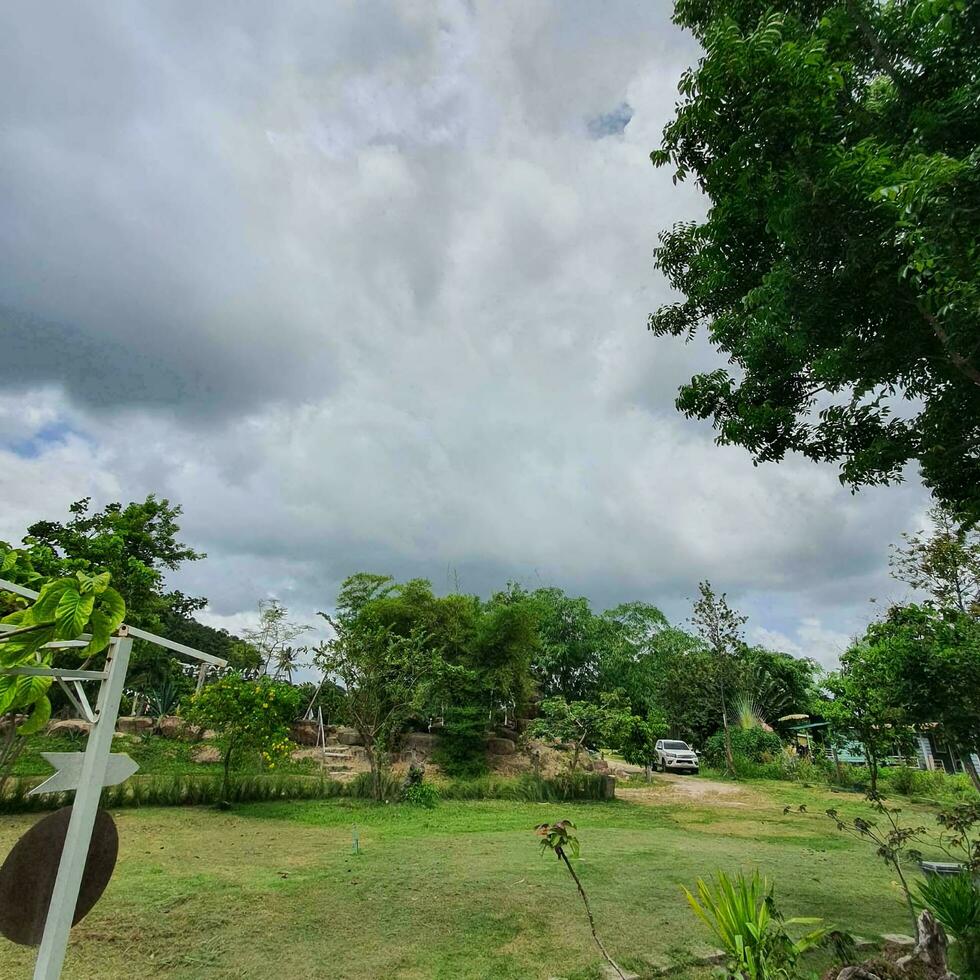 des nuages derrière fleurs avec vert feuilles dans une tropical pays. photo