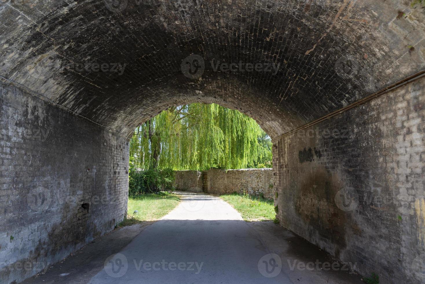 passage souterrain menant à un grand saule pleureur photo