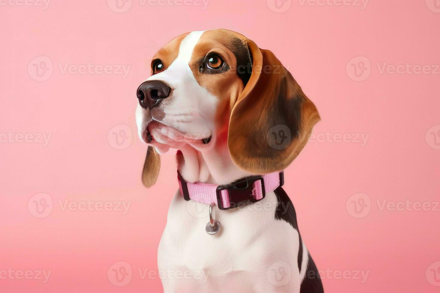 beagle chien canin. produire ai photo