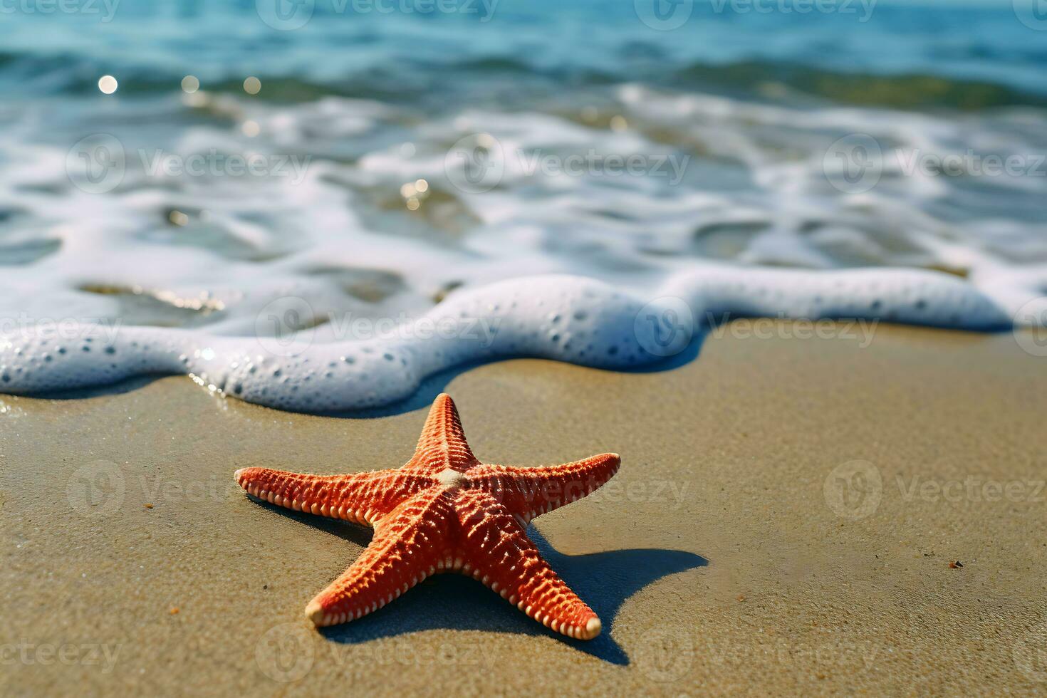 fermer photo de rouge étoile poisson à côté de rivage