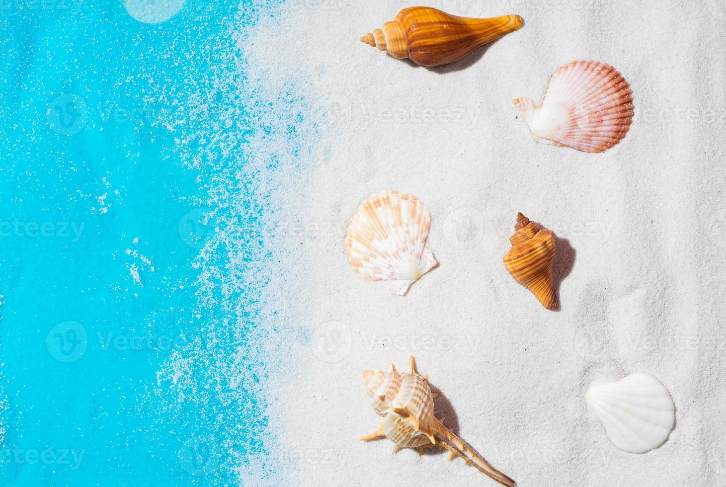 fond d'été avec du sable et des coquillages photo