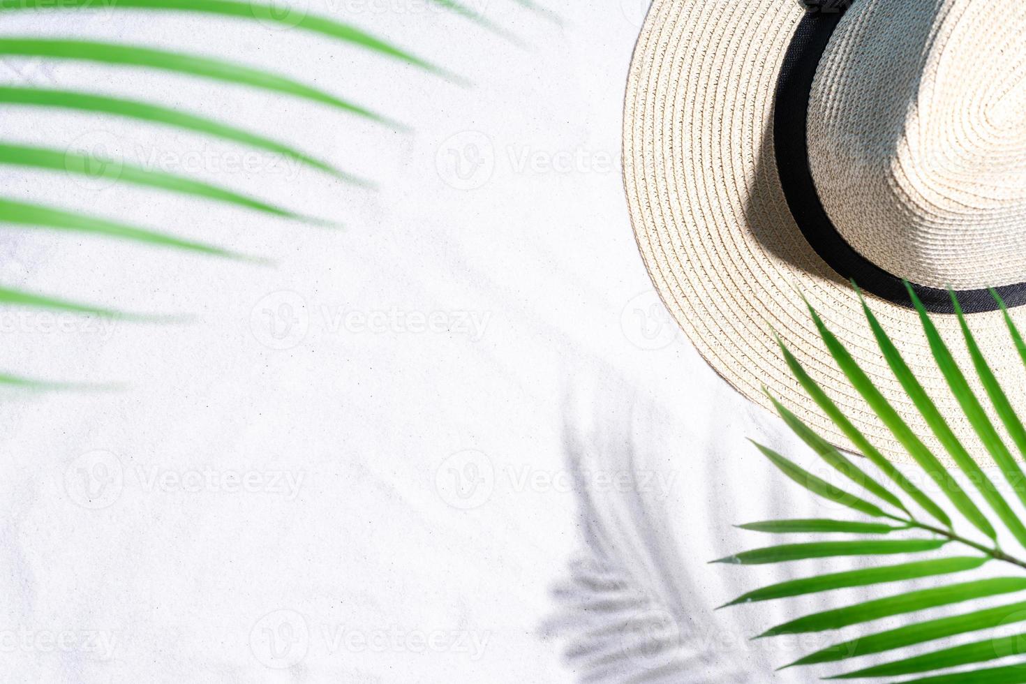 les feuilles de palmier projettent des ombres sur le sable photo