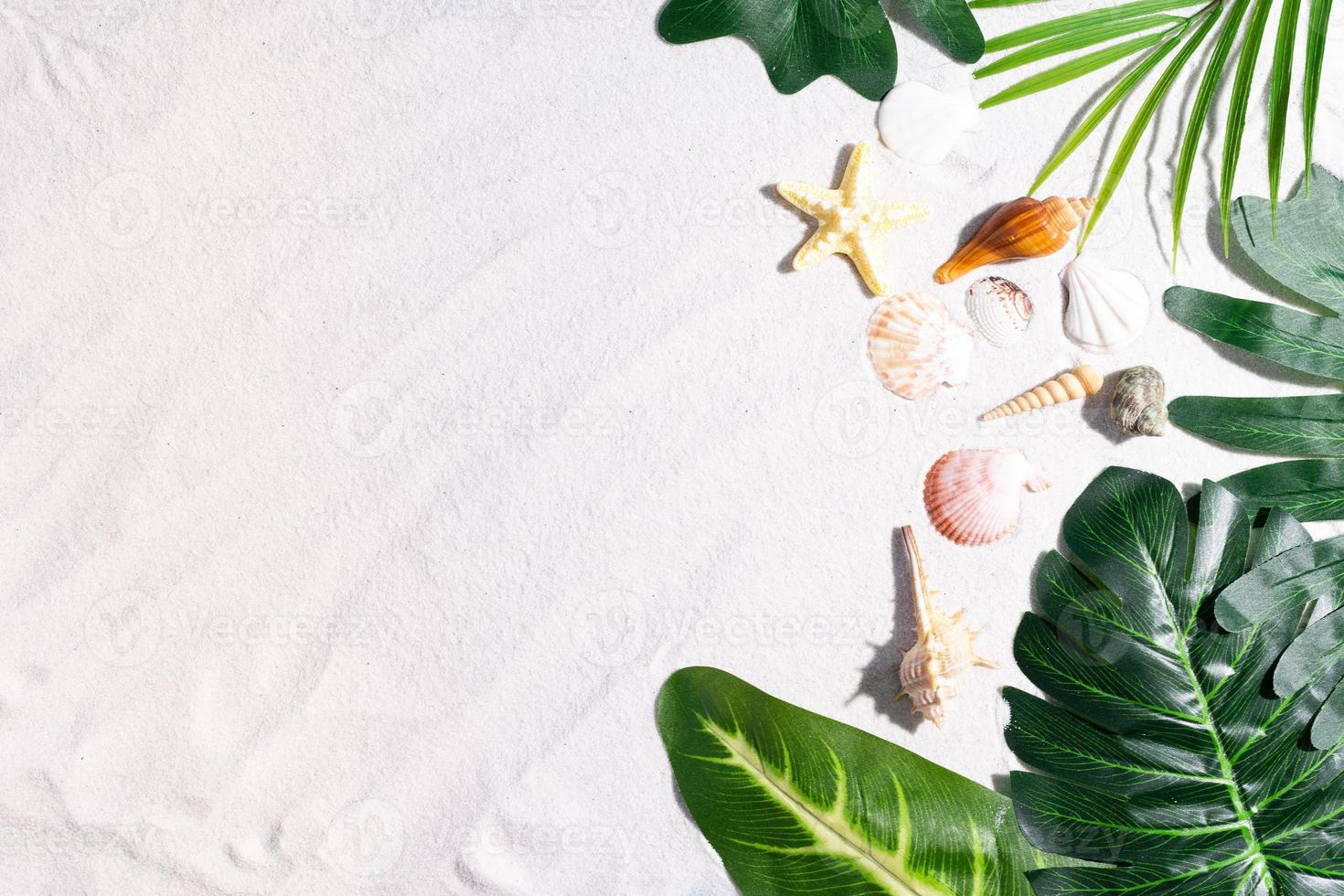 fond d'été avec des feuilles sur le sable photo