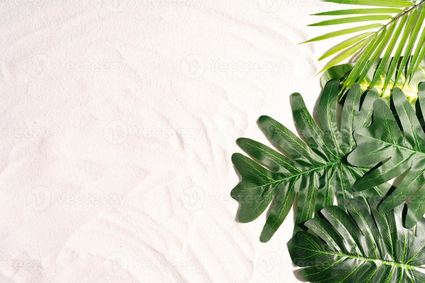 fond d'été avec des feuilles sur le sable photo