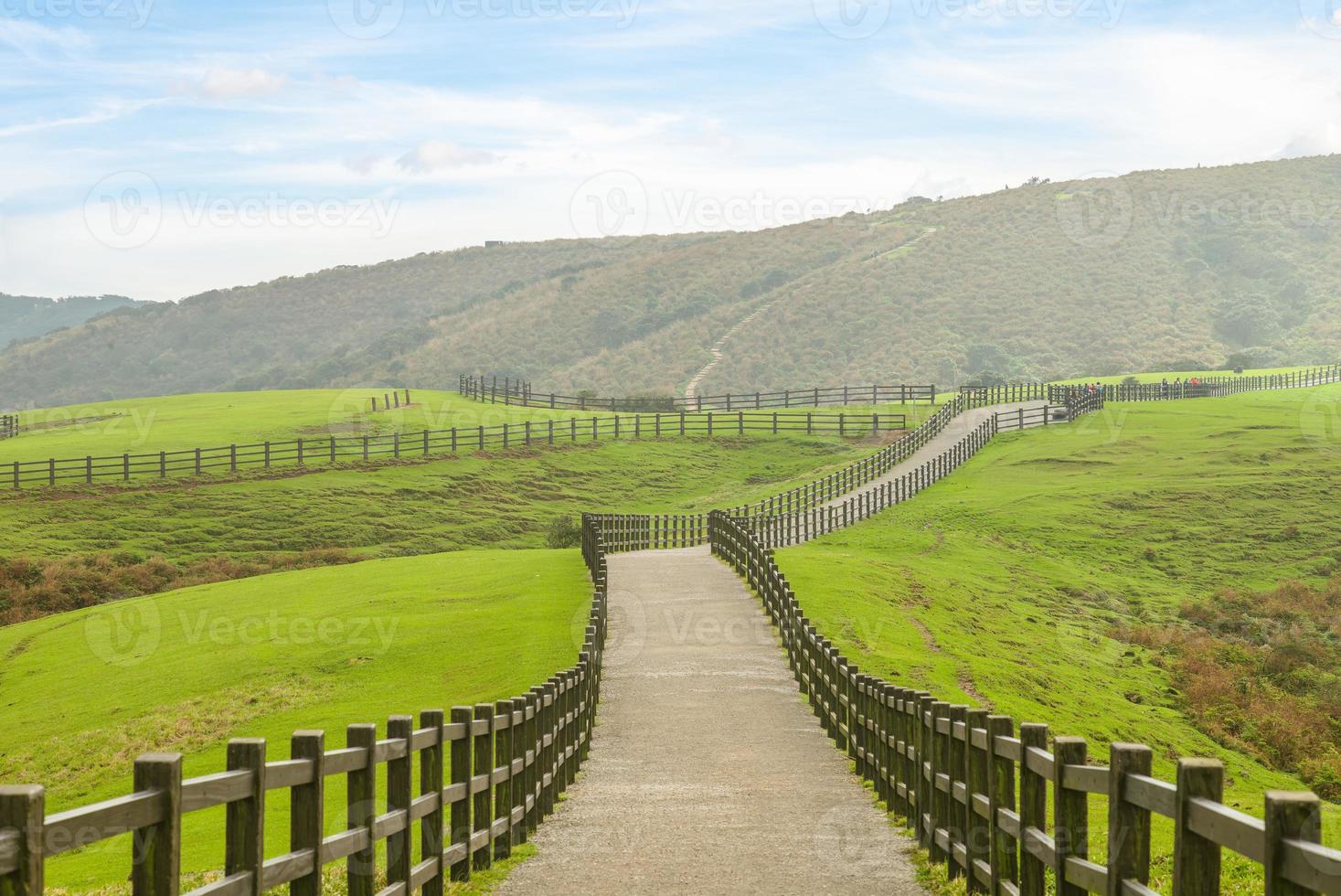 Prairie de qingtiangang au parc national de yangmingshan à taipei, taiwan photo