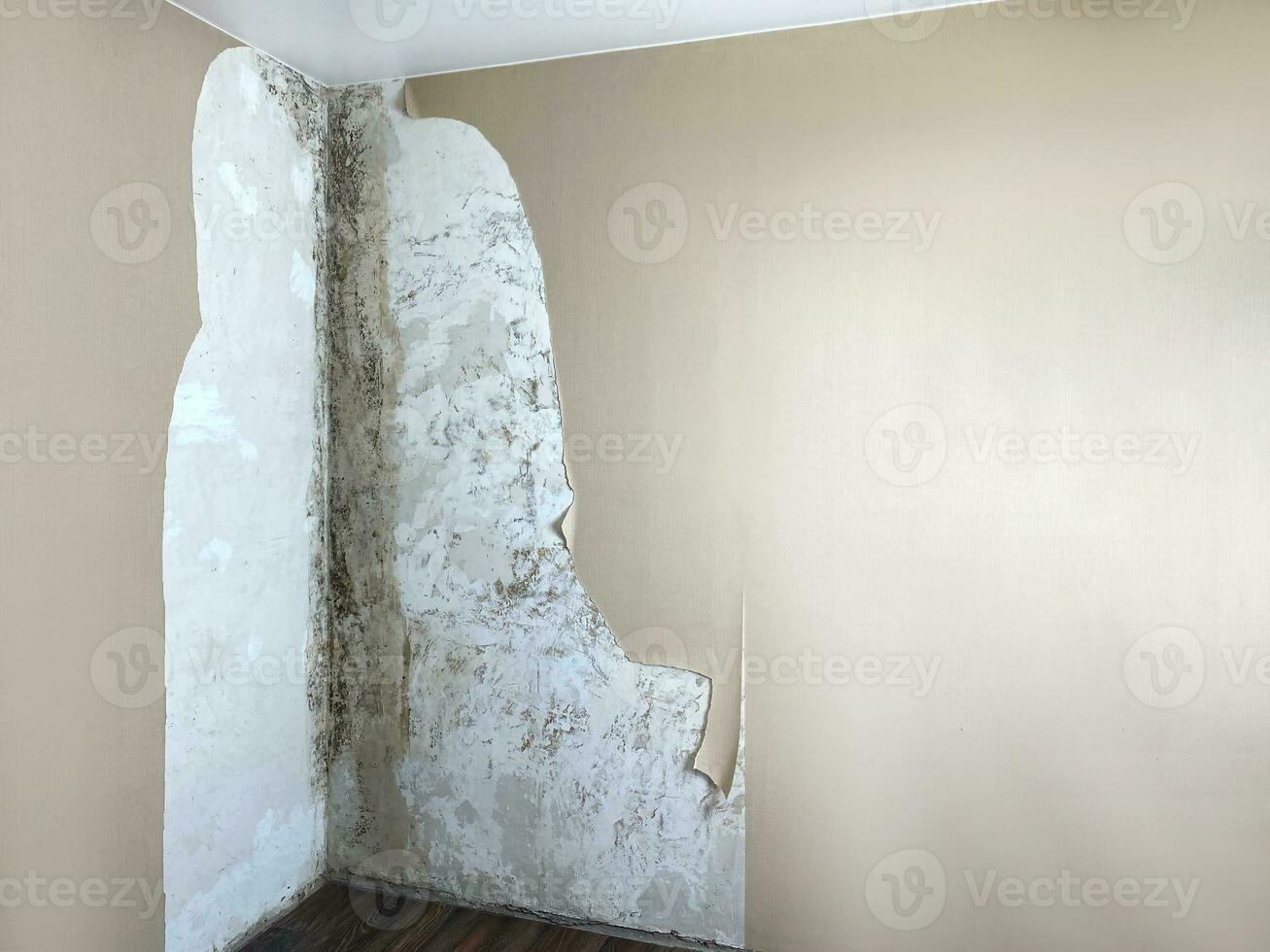appartement pièce avec moisissure et noir moule problème sur le blanc mur, noir moule mur plafond coin photo