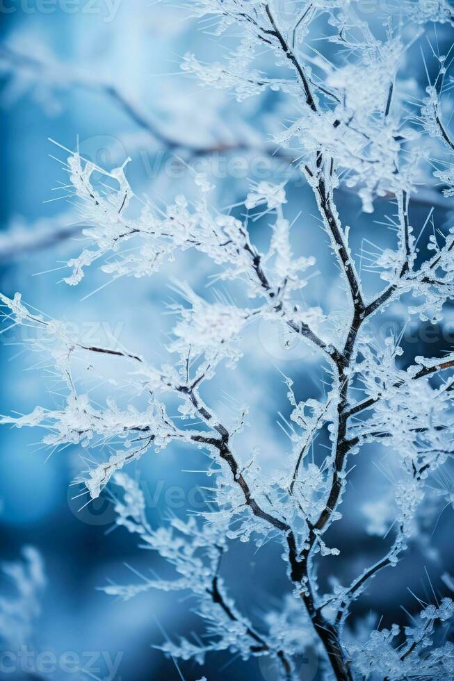 cassé arbre branches de la glace orage Contexte avec vide espace pour texte photo