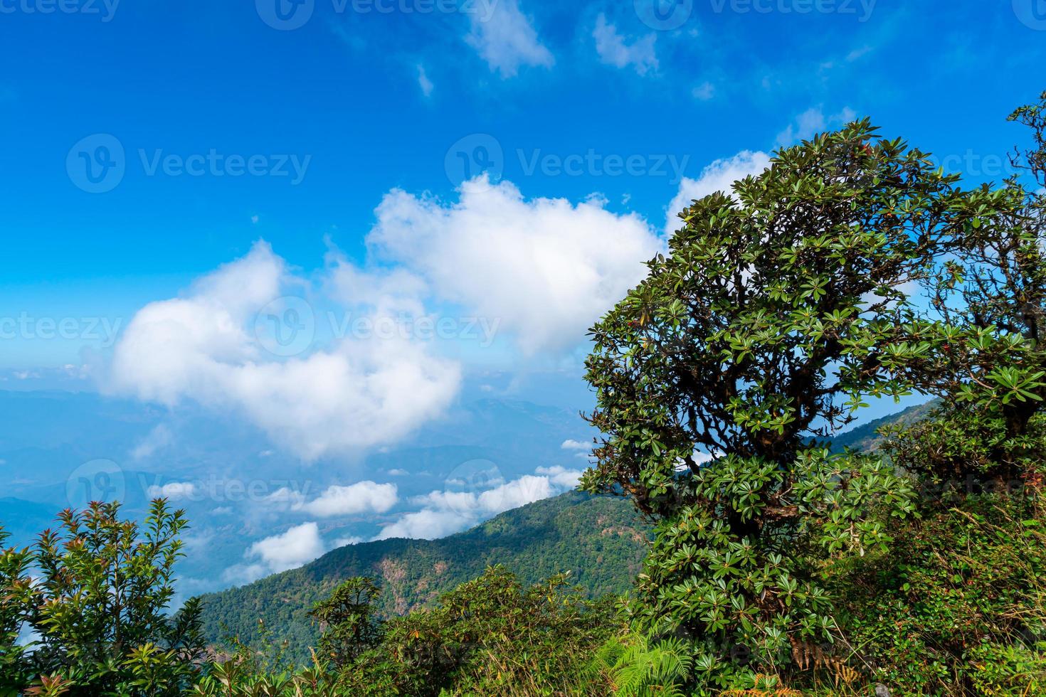 belle couche de montagne avec nuages et ciel bleu à kew mae pan nature trail à chiang mai, thaïlande photo