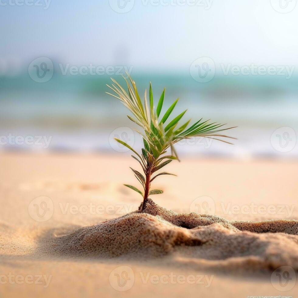 ai génératif une petit paume arbre séance dans le le sable plage photo