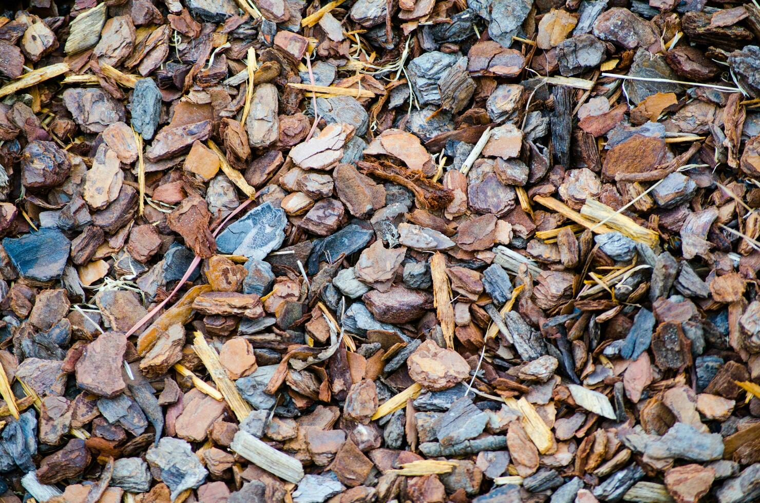 pièces de arbre écorce paillis texture dans une jardin, décoratif, finement déchiqueté paillis avec une Naturel rouge-marron teinte, un biologique recyclé sous-produit de plantation Charpente. photo