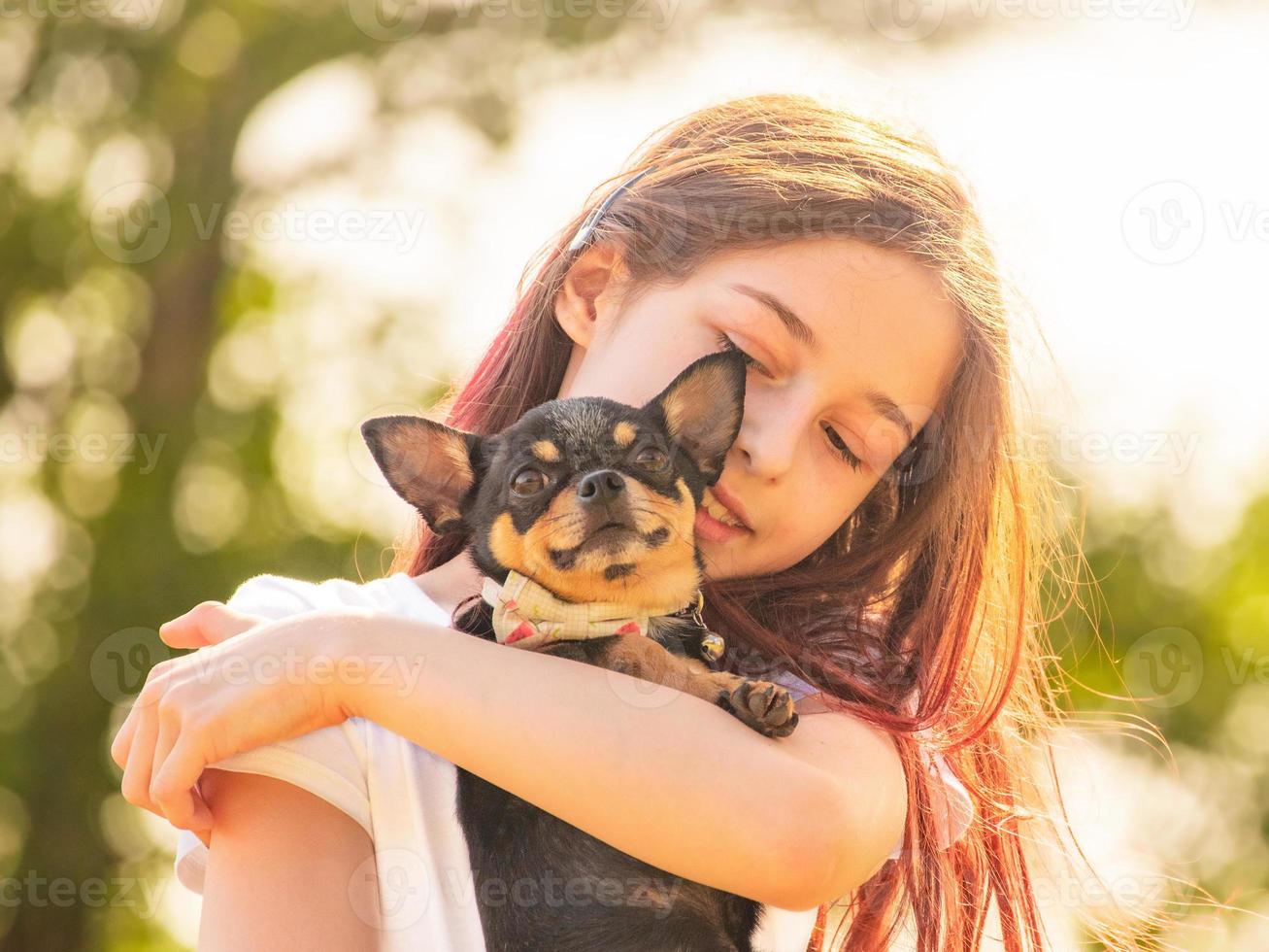 adolescente avec un chien chihuahua dans le parc. portrait d'une jeune fille, avec son chihuahua. photo