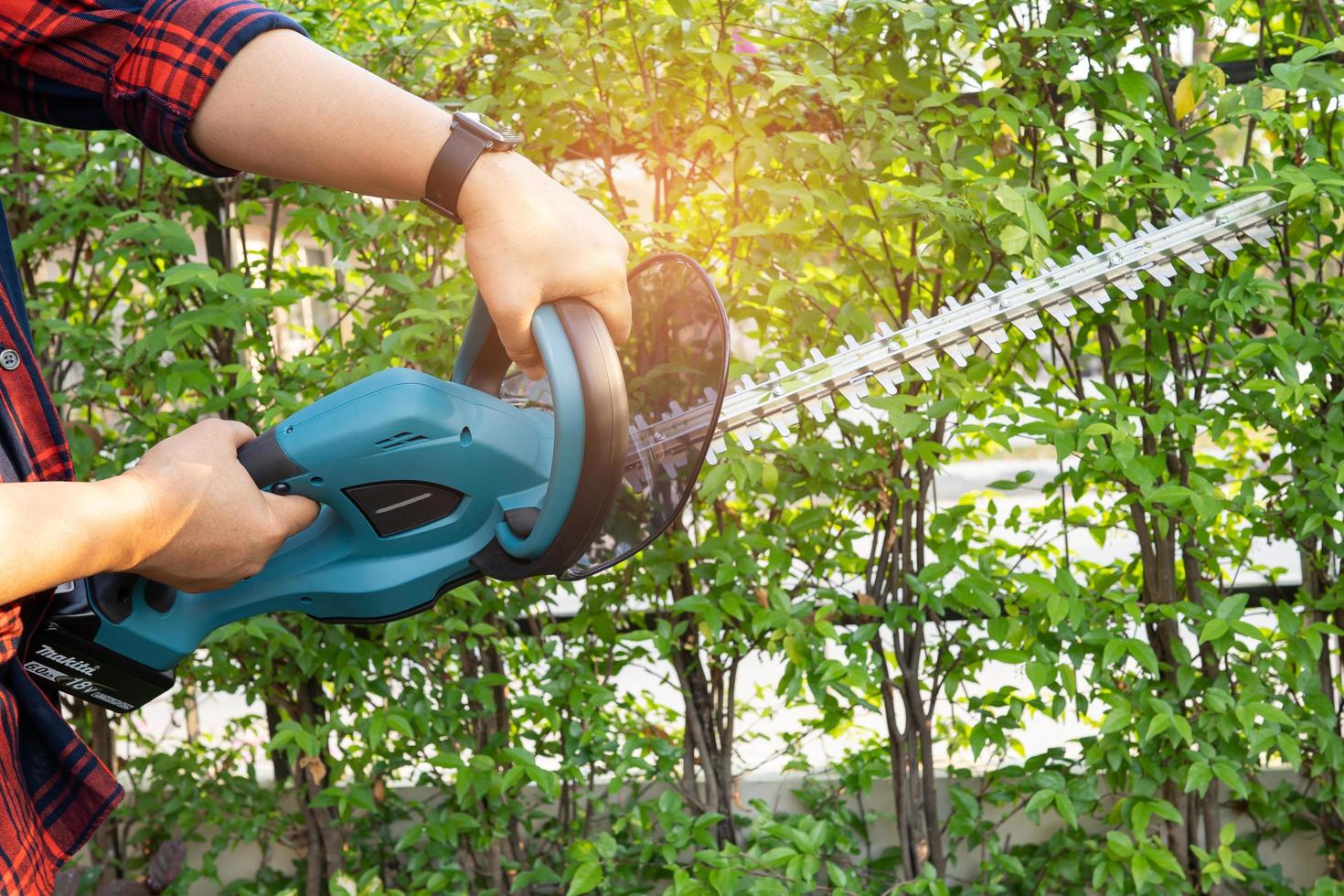 jardinier tenant un taille-haie électrique pour couper la cime des arbres dans le jardin. photo