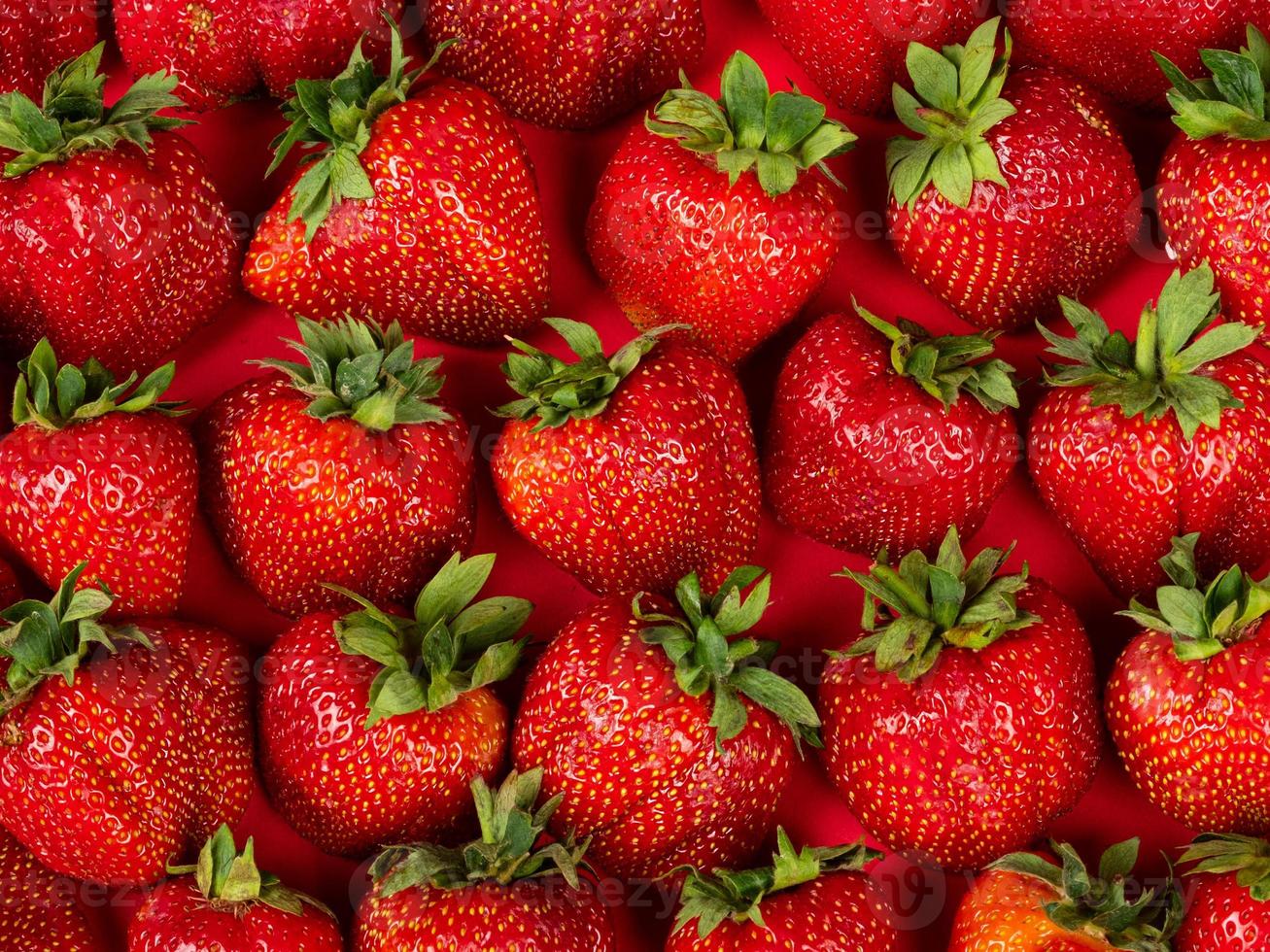 fraises fraîchement cueillies, fond de fraise, baie de saison photo