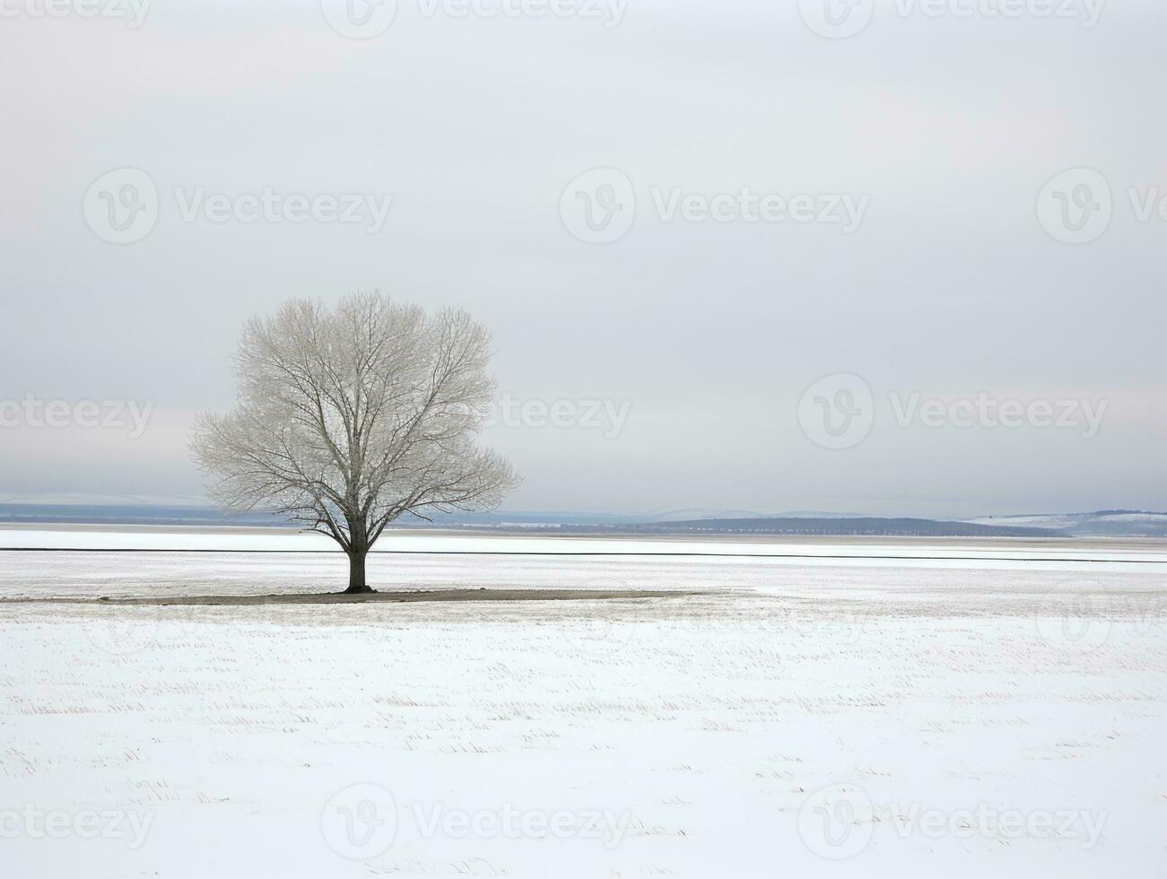 minimaliste hiver paysage composition ai génératif photo