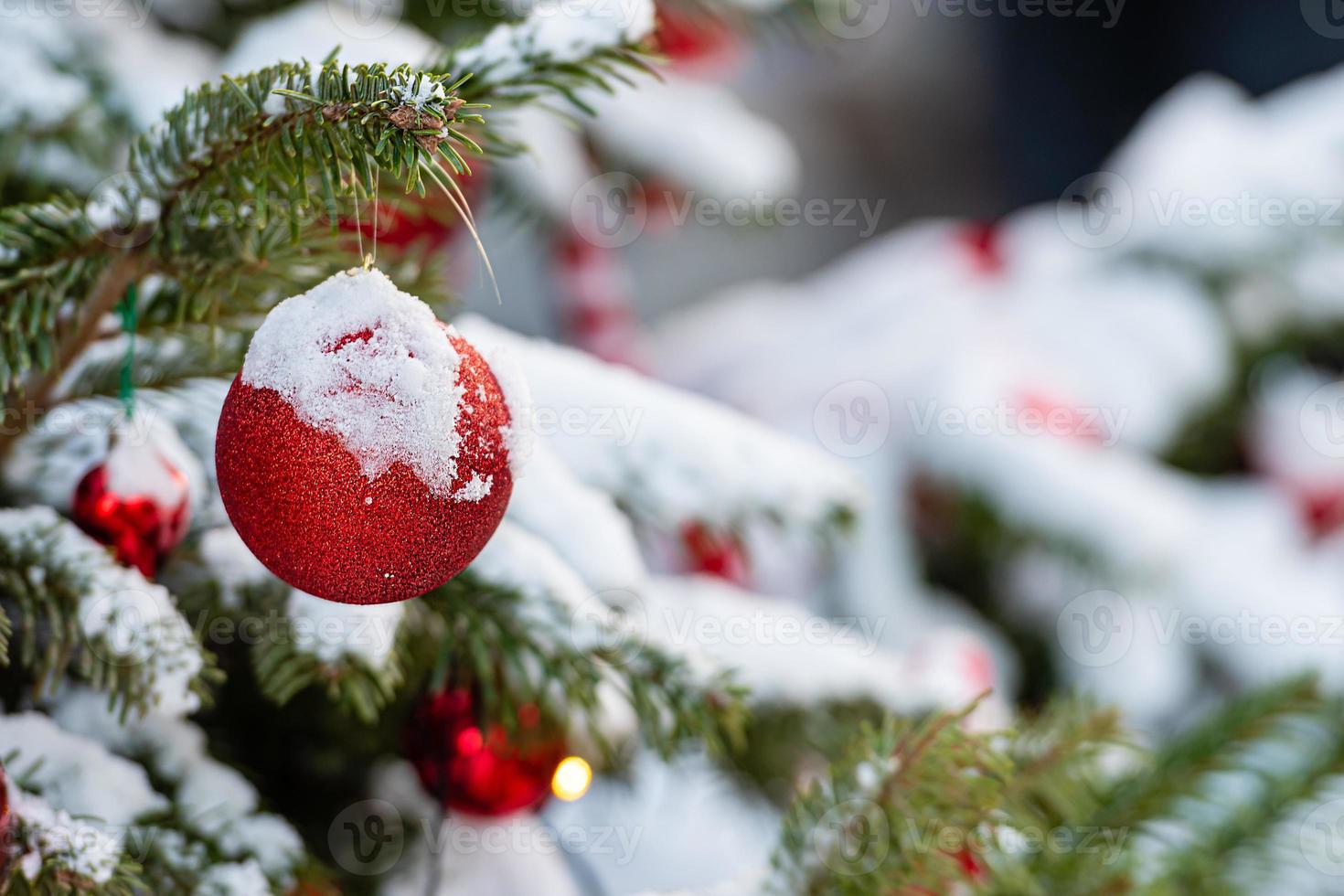 décorations colorées sur les branches d'arbres de Noël enneigées photo