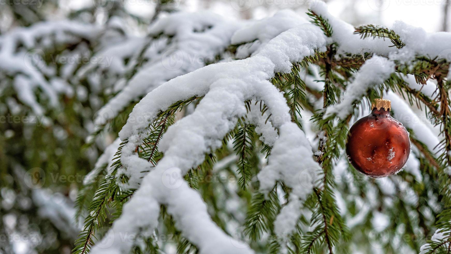 boule de noël rouge sur la branche de sapin couverte de neige photo