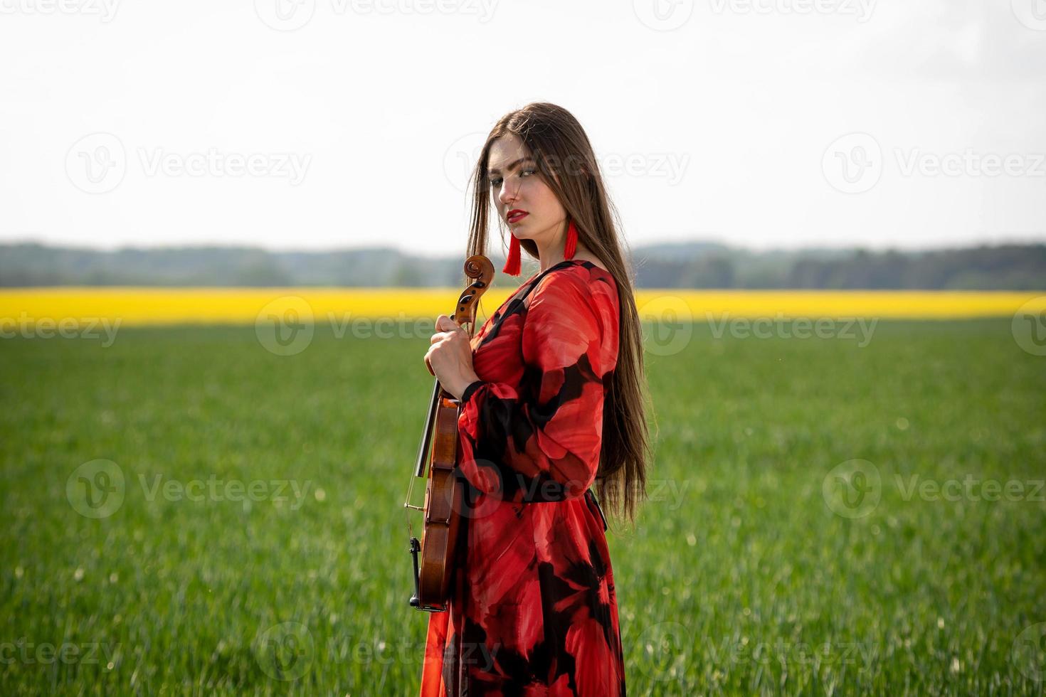 Jeune femme en robe rouge avec violon dans un pré vert - image photo