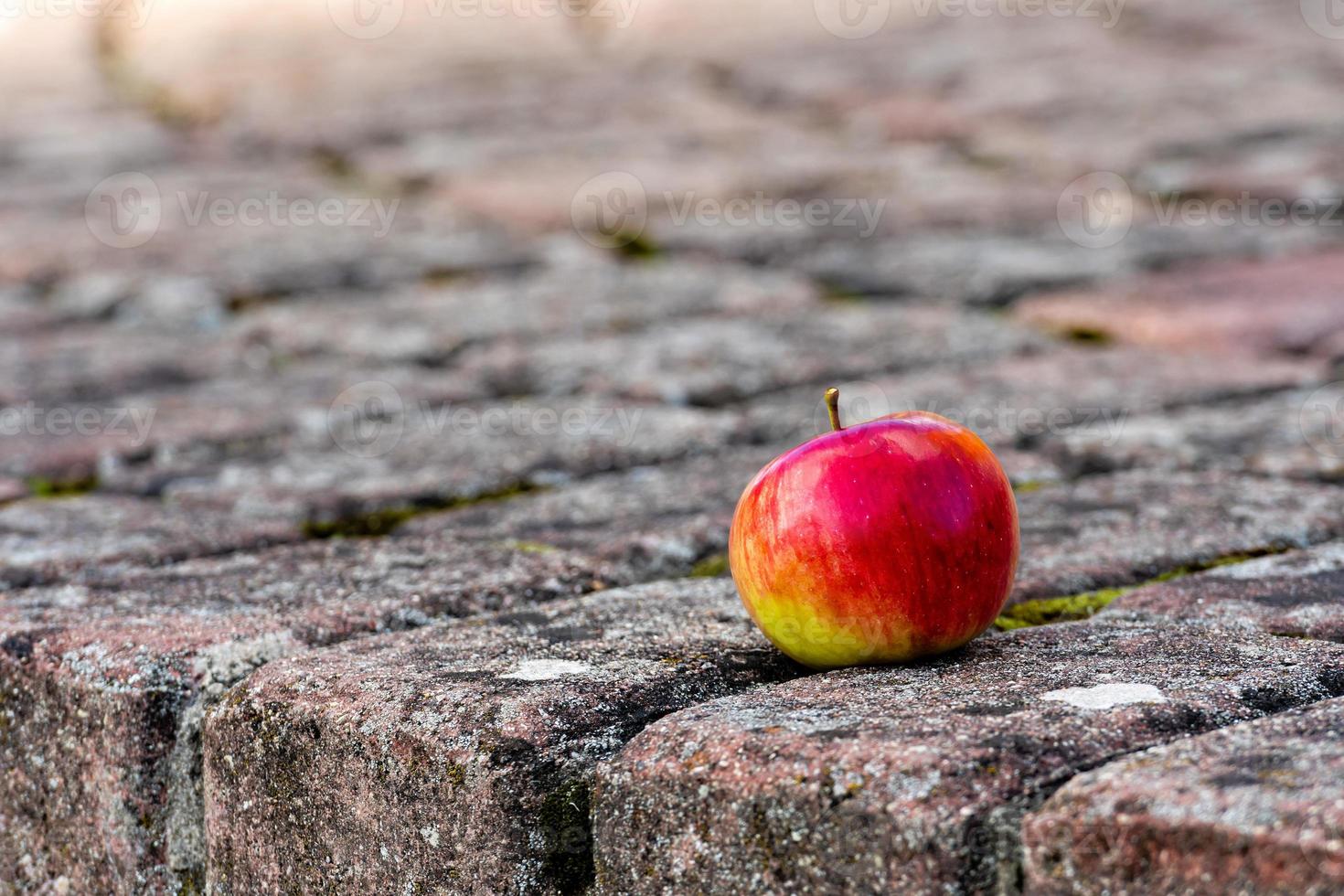 pomme rouge sur le sentier photo