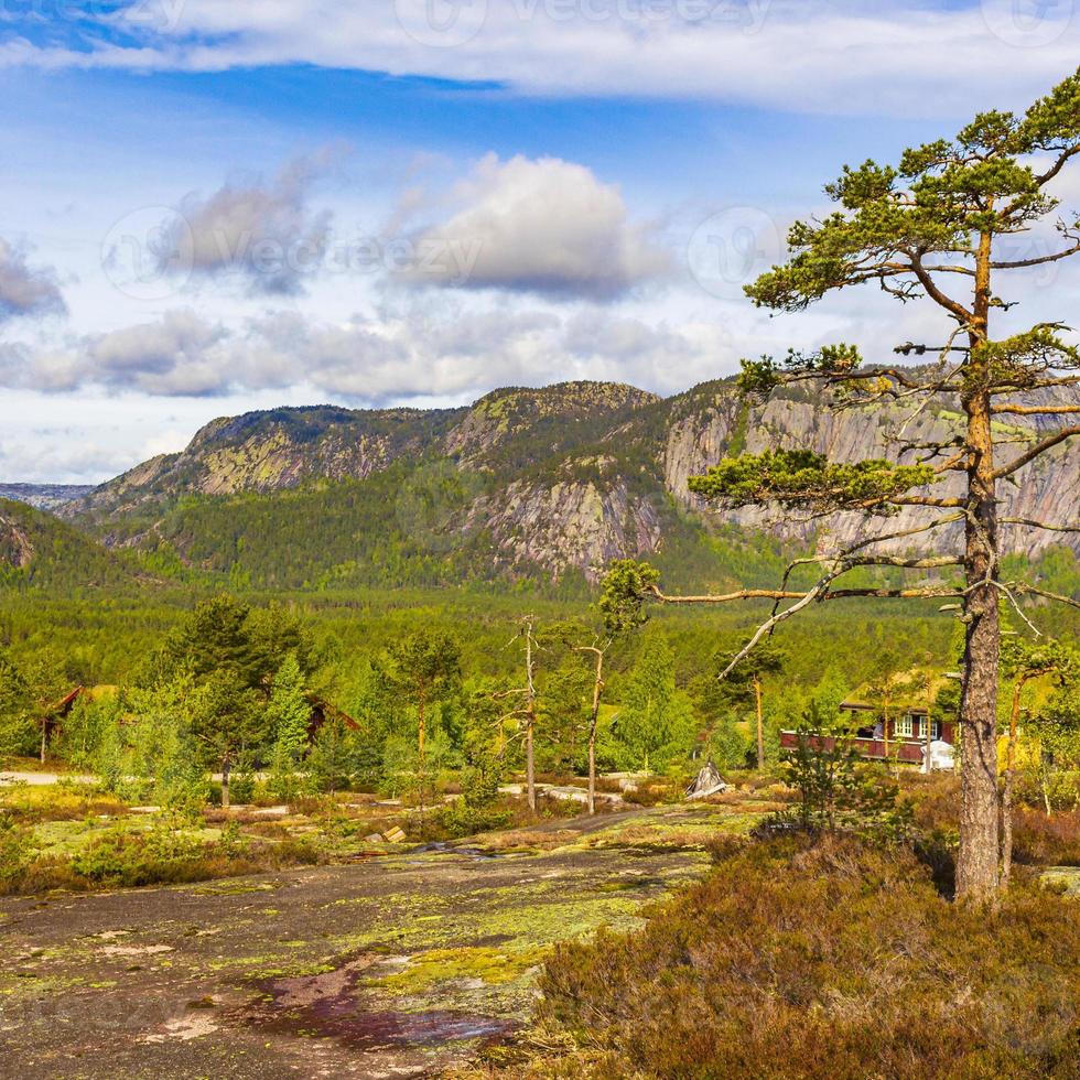 panorama avec sapins et montagnes nature paysage nissedal norvège. photo