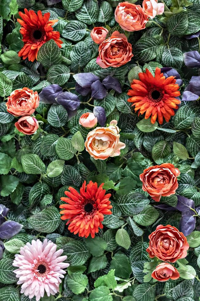 fond de chrysanthèmes rouges et roses artificiels de printemps et de roses pivoines dans le jardin. printemps. mur fleuri. photo