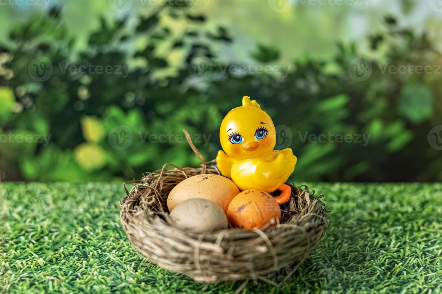 oeufs de pâques dans un nid naturel et poulet décoratif sur fond vert flou avec texture d'herbe photo