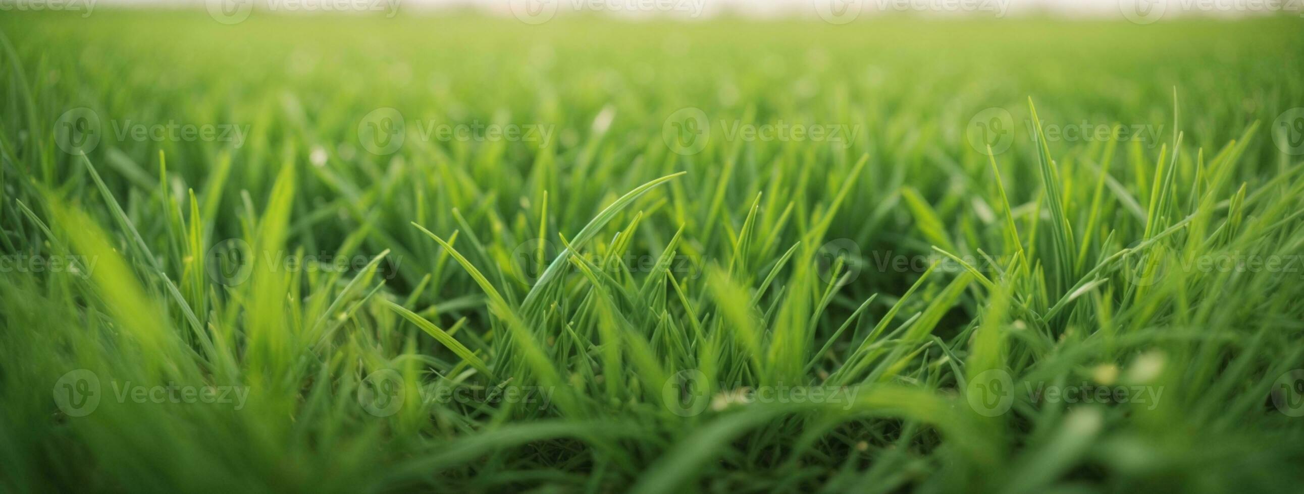 Frais printemps vert herbe. ai généré photo