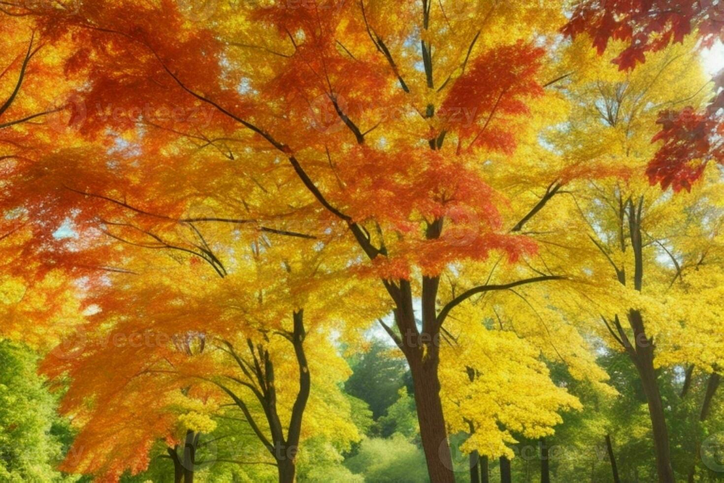 magnifique paysage parc avec des arbres et Soleil. coloré feuillage dans le parc. pro photo