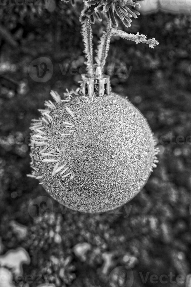 argent babiole Noël arbre sur une hiver vacances journée couvert avec givre photo